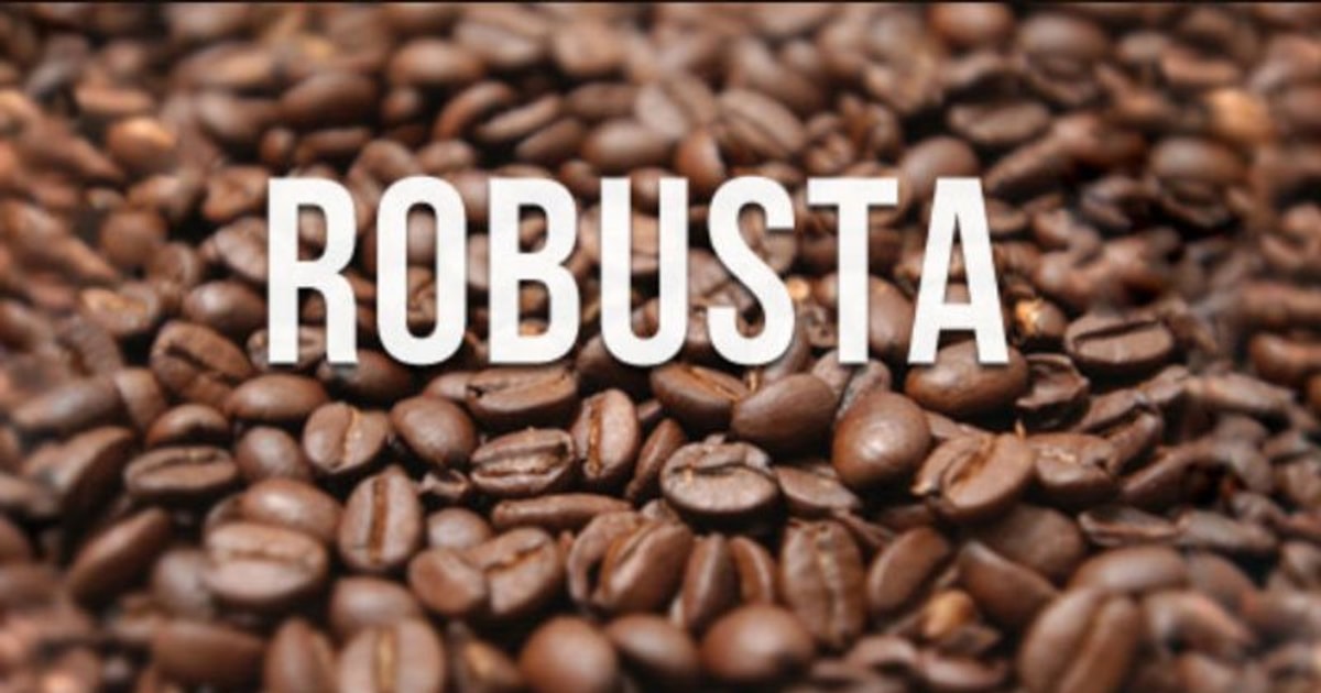 Giá cà phê Robusta tiếp tục lập đỉnh