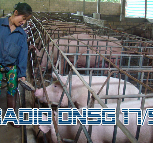 Radio Doanh Nhân Sài Gòn ngày 17/5/2012