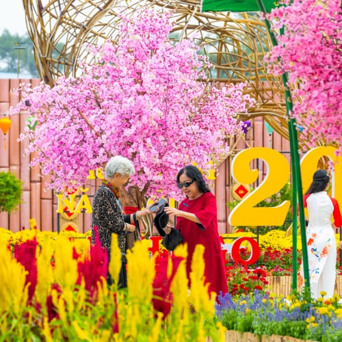 Sắc xuân rực rỡ phủ kín các khu “đất vàng” TP.HCM