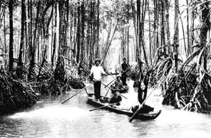 Mũi Cà Mau ta đó