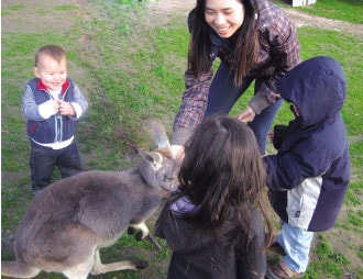 Làm du lịch kiểu...nông dân Úc