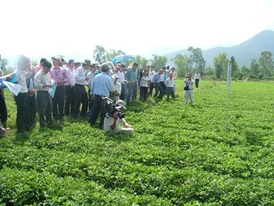 Từ 1/1/2010: Kiểm kê đất đai để xử lý sai phạm