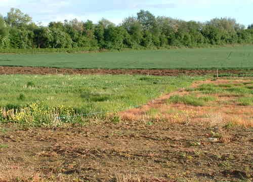 Đã có quy chế mẫu về quản lý, sử dụng quỹ phát triển đất