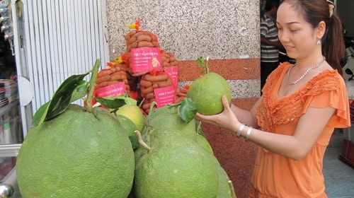 ĐBSCL: bưởi da xanh giá cao gấp 5 lần bưởi năm roi