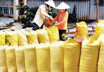 Đã khắc họa được nhiều chân dung thương lái