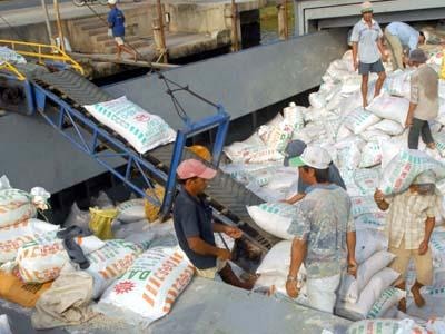 Kiến nghị tạm ngừng xuất khẩu phân bón đến hết năm 2010