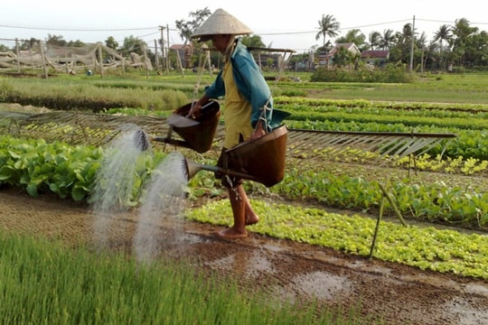 Tháo “nút thắt” để kinh tế nông thôn phát triển