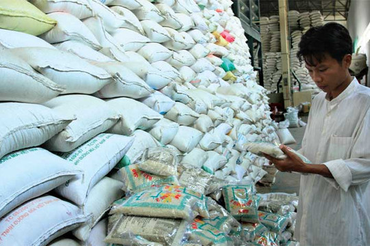 Thị trường gạo: Tiền tranh bán, hậu tranh mua