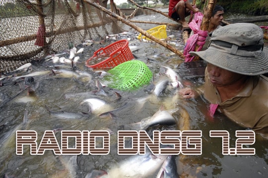 Radio Doanh Nhân Sài Gòn 7/2/2012