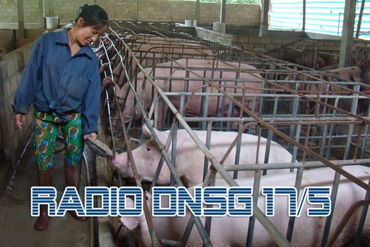 Radio Doanh Nhân Sài Gòn ngày 17/5/2012