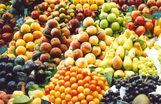 Kiểm dịch trái cây Trung Quốc: Cưỡi ngựa xem hoa