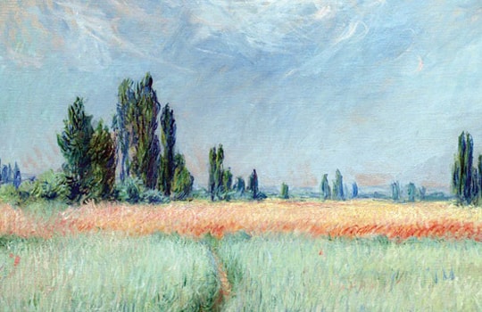 Bán Cánh đồng lúa mì