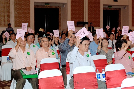 Cổ phần không biểu quyết - "cửa ngách" cho vốn ngoại