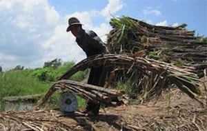 Từ 1/1/2013, tăng thuế nhập khẩu đường lên 40%