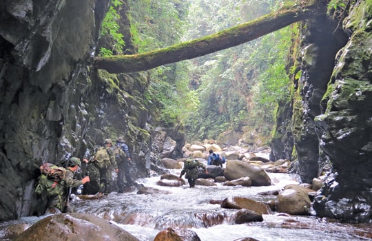 Thảm đỏ mốc biên cương