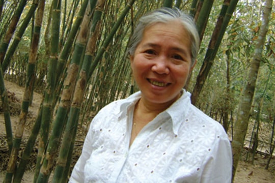 Tôi đã “minh oan” cho cây tre nhiều điều