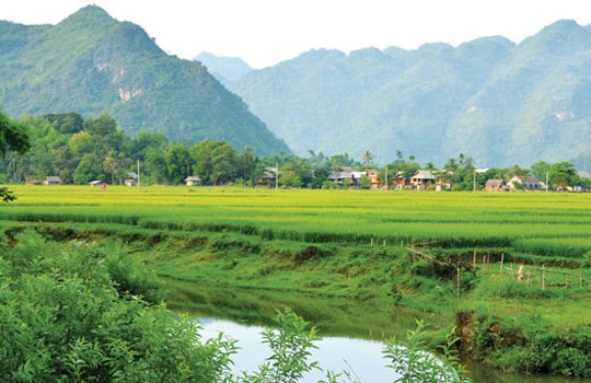 Những nơi trekking lý tưởng ở Việt Nam