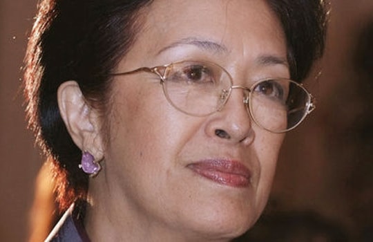 Nhà ngoại giao Tôn Nữ Thị Ninh và những kinh nghiệm đối ngoại