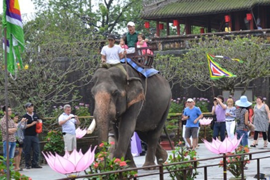 Cưỡi ngựa, cưỡi voi ngắm hoàng thành Huế