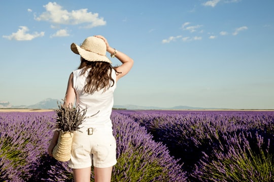 Vietravel: Tour siêu tiết kiệm Nhật Bản