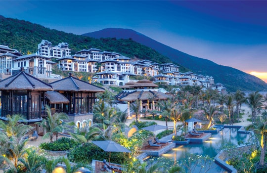 Những giấc mơ Sơn Trà