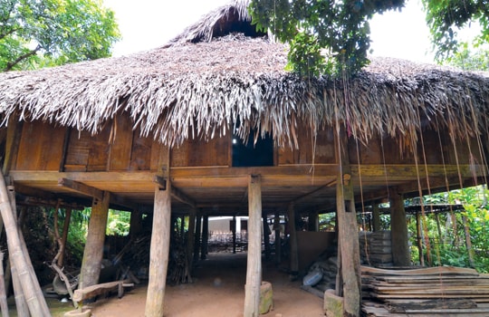 Đám cháy nhà Lang và nỗi đau văn hóa