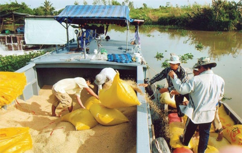 Đề xuất một liên minh chủ nguồn hàng