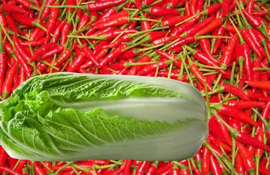 Xuất khẩu sang Hàn Quốc: Cơ hội lớn, yêu cầu nhiều