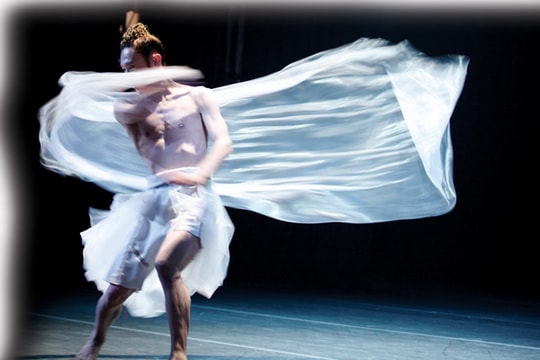 Tỏa sáng tài năng