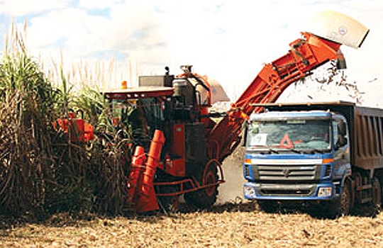 Đường của HAG sẽ đi đâu?