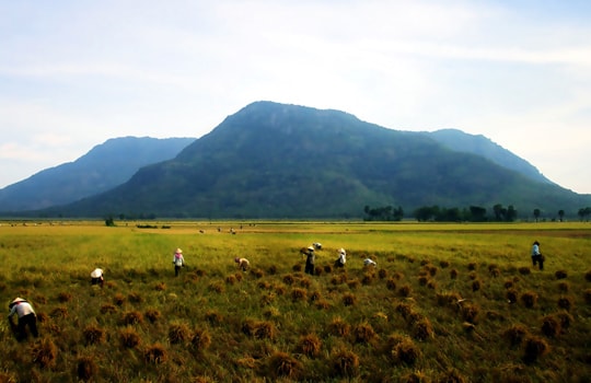 Thới Sơn, điểm đến mới ở An Giang