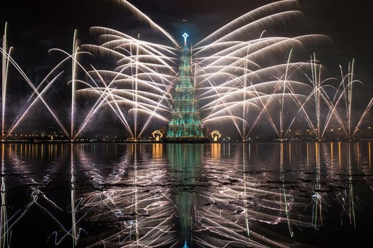 Ngắm cây thông Noel trên khắp thế giới