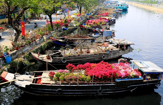 Sắc Xuân trên Bến Bình Đông