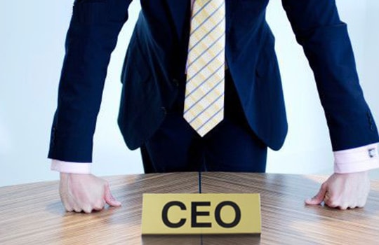 Đầu năm "xem tuổi" CEO Việt