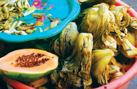 Tết Huế mà thiếu dưa cải…