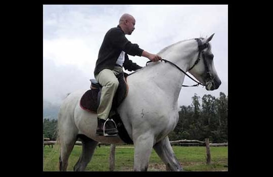 "Vua cà phê" chơi ngựa