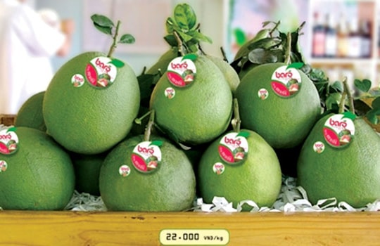 Tiếp thị cho bưởi da xanh ruột hồng