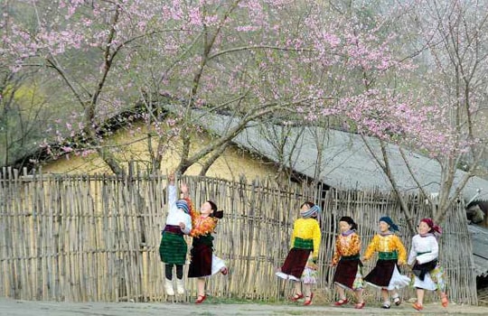 Ảnh Tết Việt: Ngày cuối cùng nhận ảnh dự thi