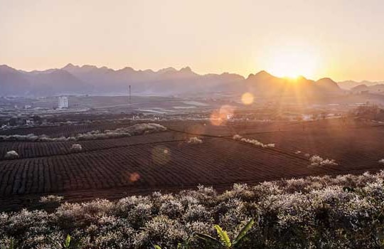 Nói chuyện với "Vọng Âm Sơn"