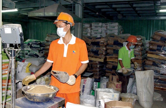 Thị trường thức ăn chăn nuôi: "Gà nội ăn bắp Mỹ”