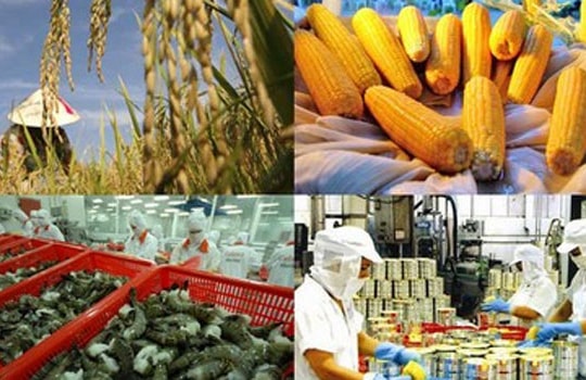 TTP - một “phiếu tín nhiệm” với Việt Nam