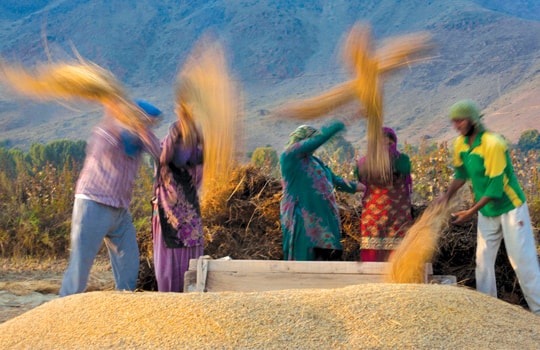 Thế giới cần cách mạng nông nghiệp lần 2