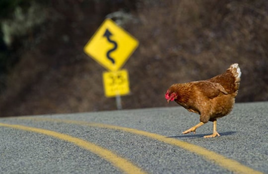 Những luật giao thông kỳ lạ tại Mỹ