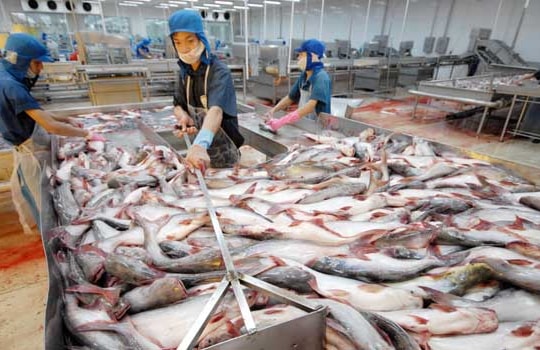 Con đường riêng tìm đối tác chiến lược