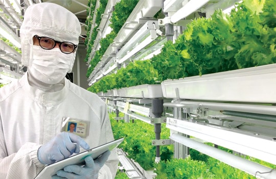 Thương hiệu điện tử Nhật: cải tổ hoặc chết