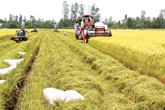 Ra mắt Trung tâm tư vấn tài chính, cấu trúc doanh nghiệp