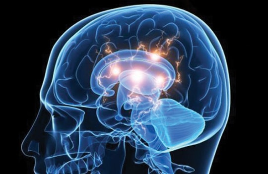 Protein TDP-43 liên quan đến bệnh Alzheimer