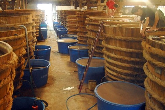 Bảo hộ trí tuệ và thương hiệu cho 4 nước Đông Nam Á