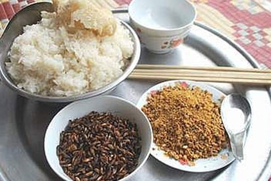 Bát cháo mối trên đỉnh Trường Sơn