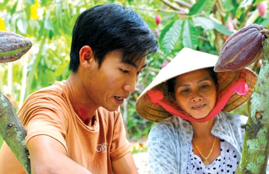 Ca cao Việt Nam: Cờ đã đến tay?